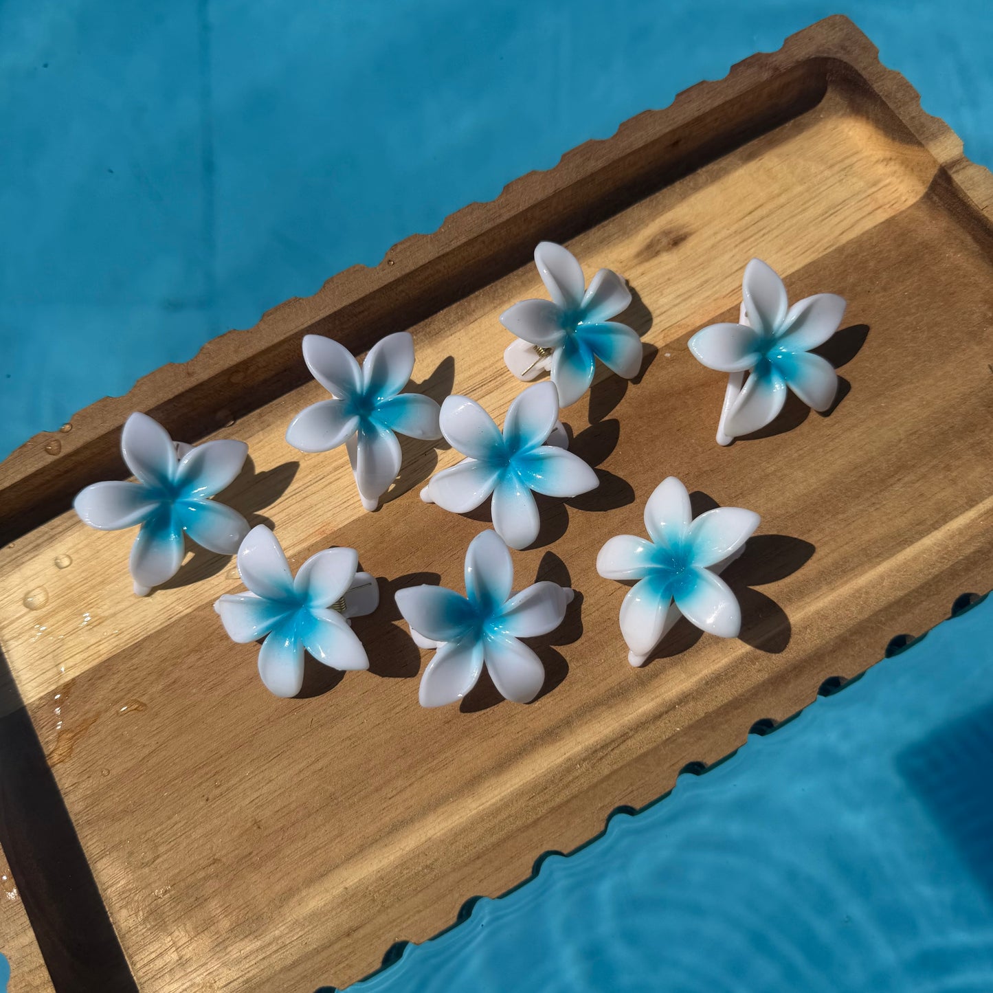 Pinces fleurs clip
