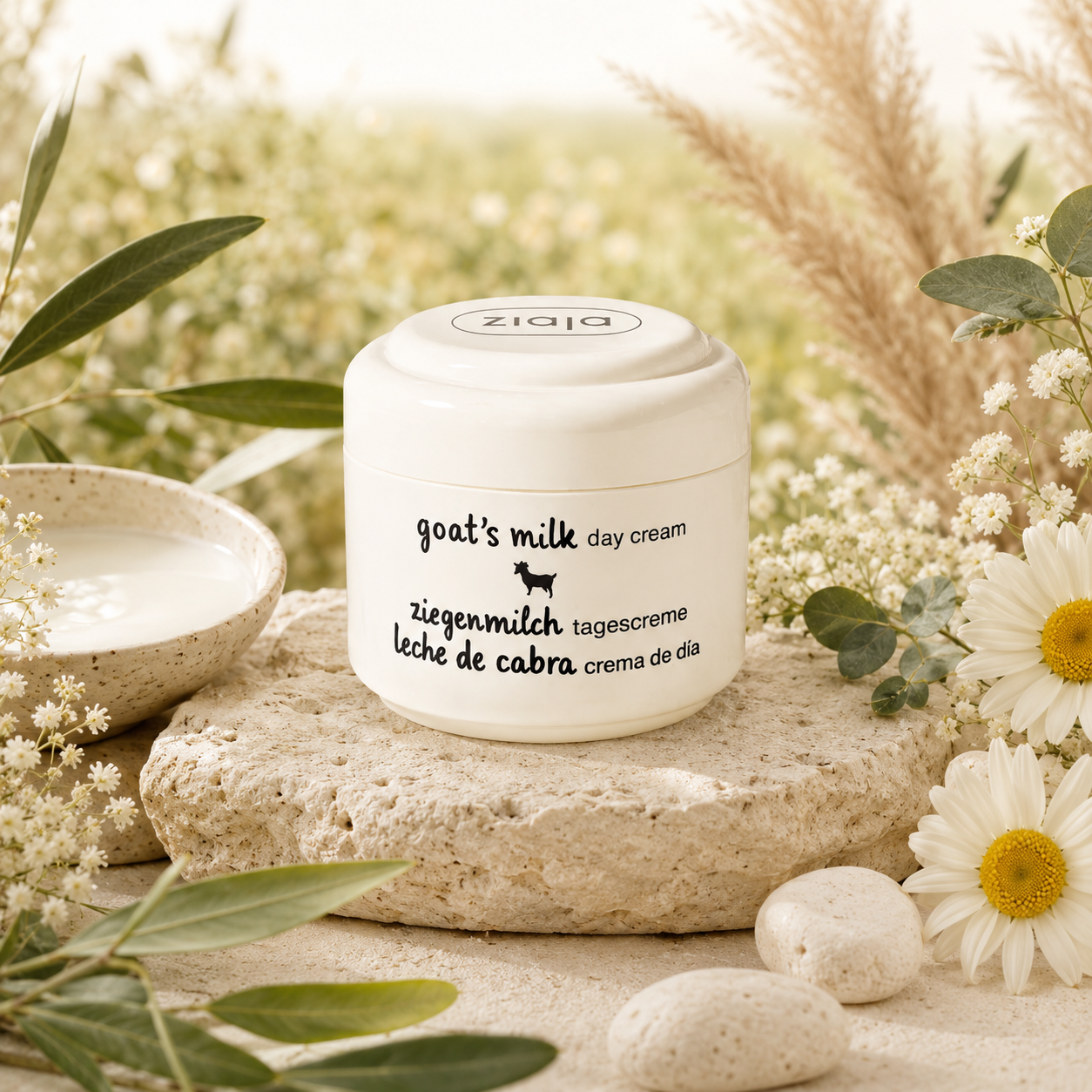 Crème de jour Anti Âge -Lait de chèvre